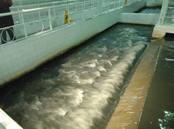 日化廠(chǎng)污水消泡劑—它的運(yùn)用效果究竟有多強(qiáng)？